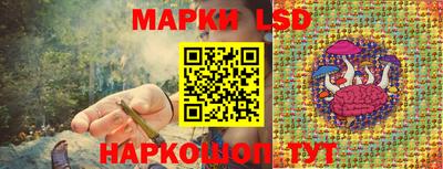 Альфа ПВП Обь
