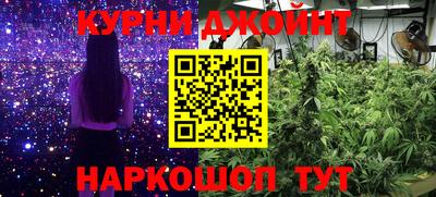 Альфа ПВП Обь