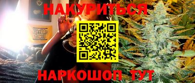 Альфа ПВП Обь